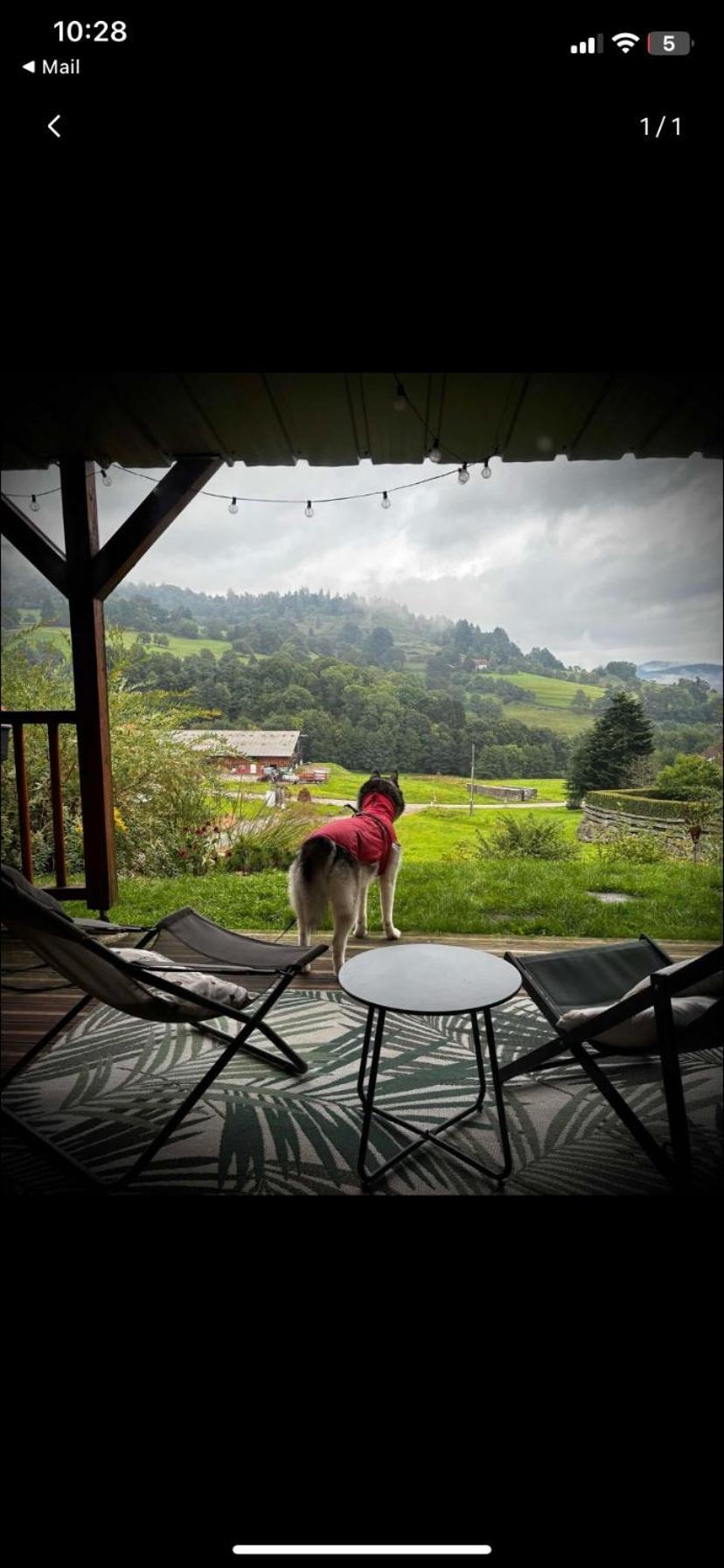 Le Chalet De Cathy Soultzeren Экстерьер фото
